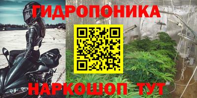гашик Донской