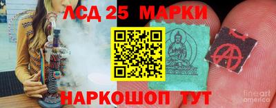 гашик Донской