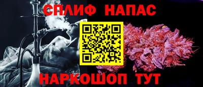 гашик Донской